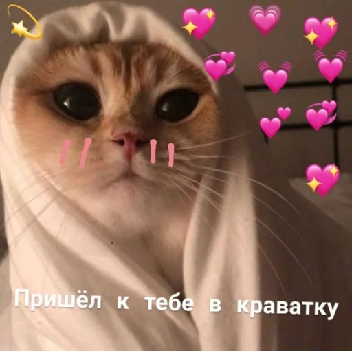 Стикер 23
