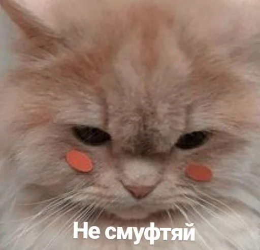 Стикер 24