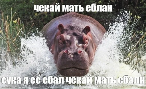 Стикер 8