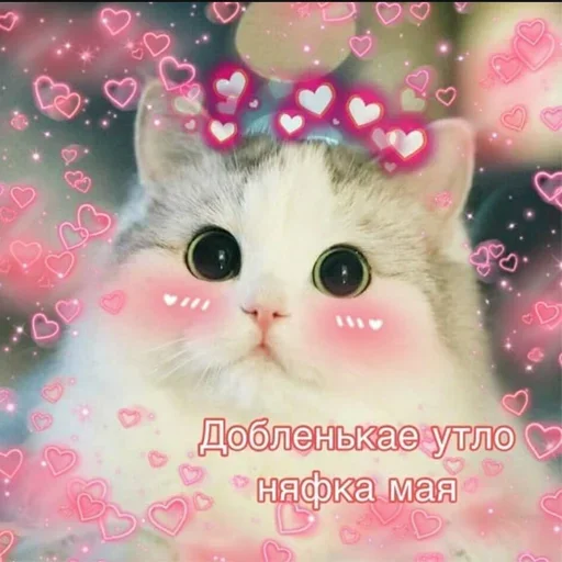 Стикер 14