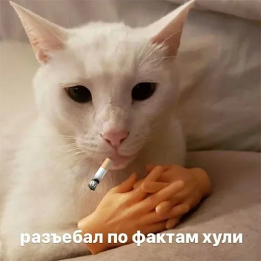 Стикер 20