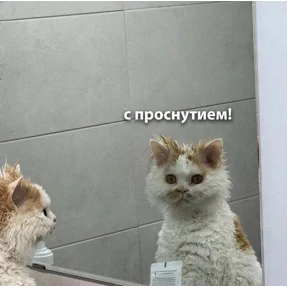 Для важных разговоров 6