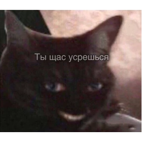 Стикер 8