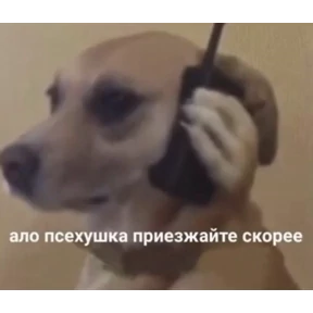 Стикер 11