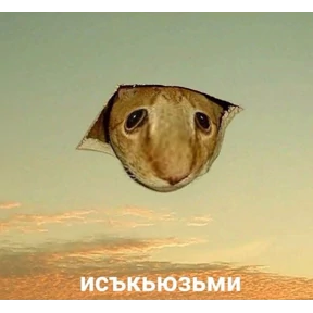 Стикер 16