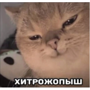 Стикер 20