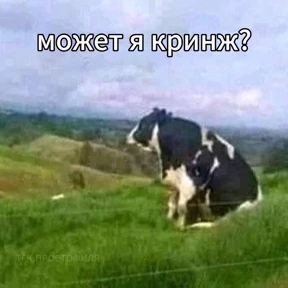 Стикер 23