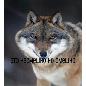 Стикер 24