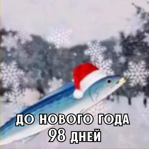 До нового года осталось 3