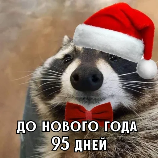 До нового года осталось 6
