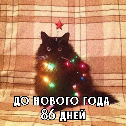 Стикер 15
