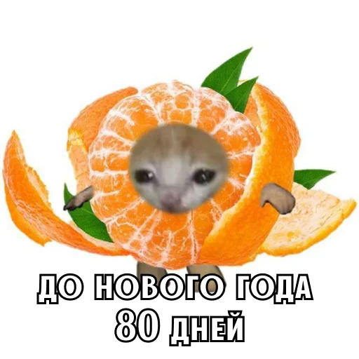 Стикер 21