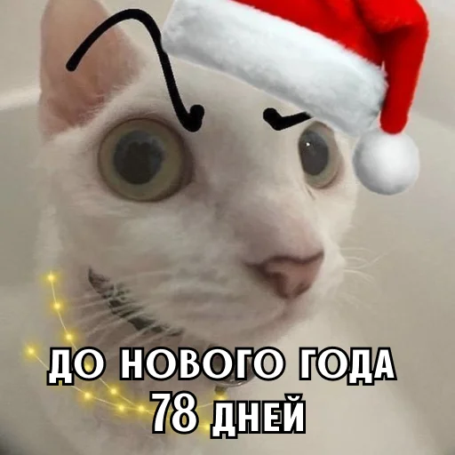 Стикер 23