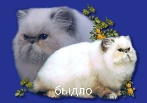 Добрый день 🎀 6