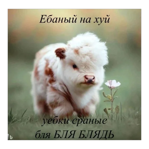 Стикер 10