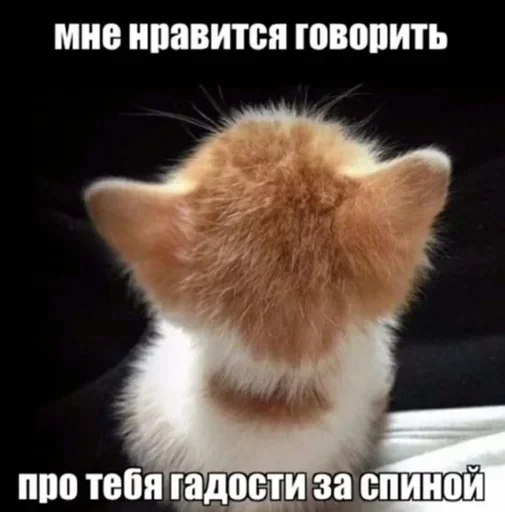 Стикер 14