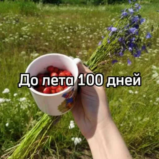 До лета осталось... 1