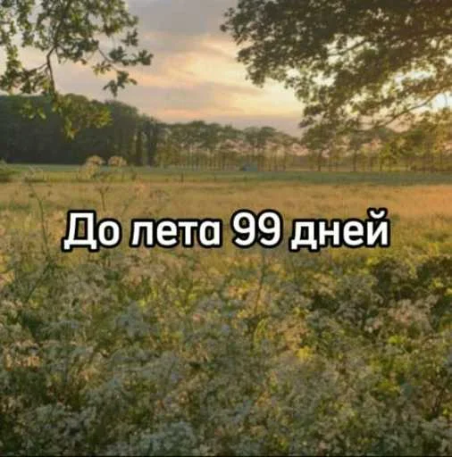 До лета осталось... 2