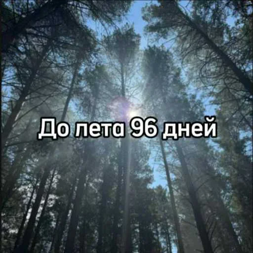 До лета осталось... 5