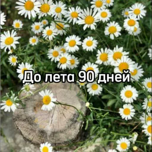 Стикер 11