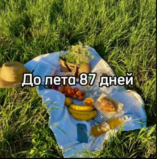 Стикер 14