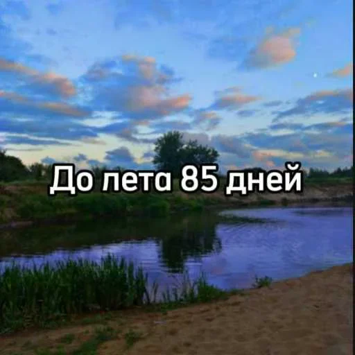 Стикер 16
