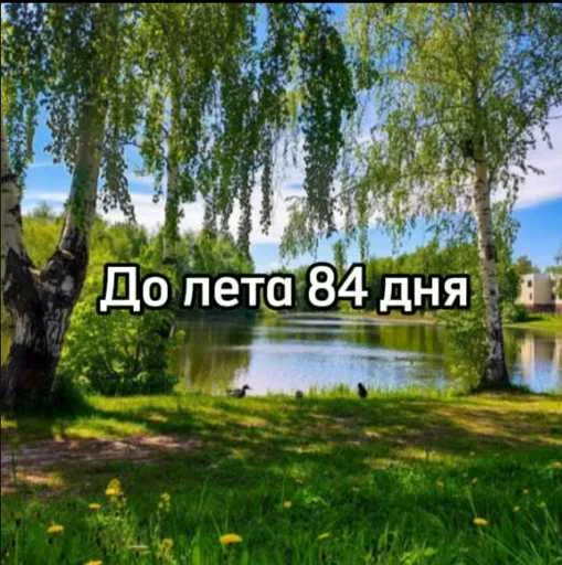 Стикер 17