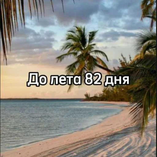 Стикер 19