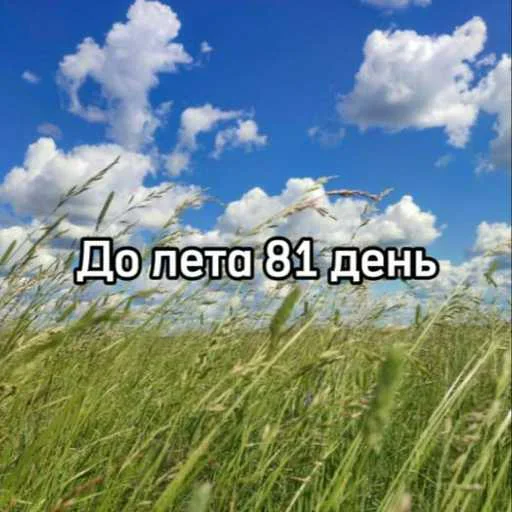 Стикер 20