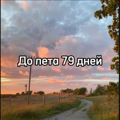 Стикер 22