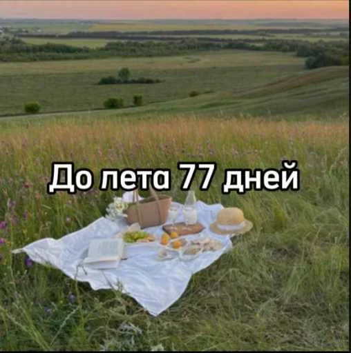 Стикер 24