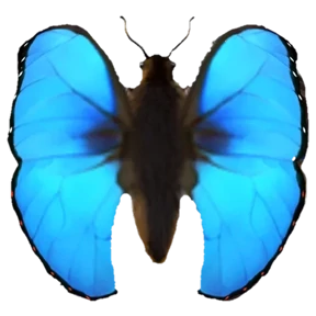 Эмоджи ужас 4
