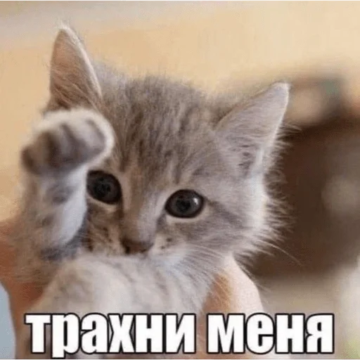 Стикер 20