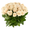 Flowers 3