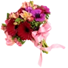 Flowers 5