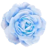Стикер 9
