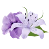 Стикер 13