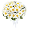 Стикер 17