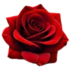 Стикер 23