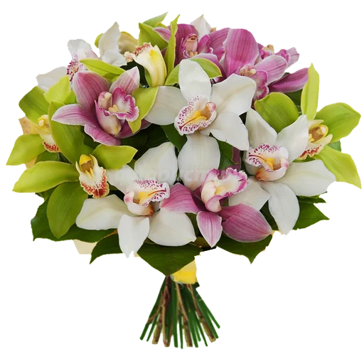 Стикер 14