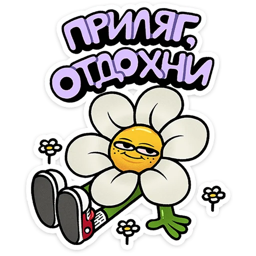 Цветик 6