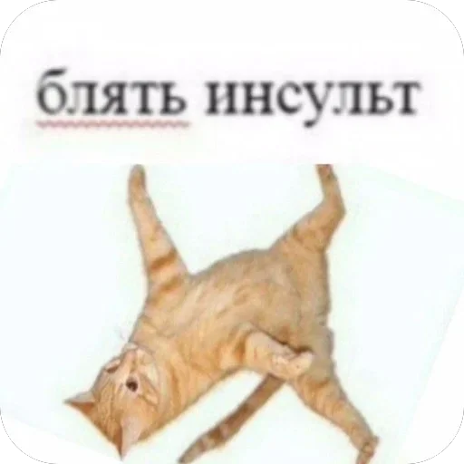 Тот самый случай 2