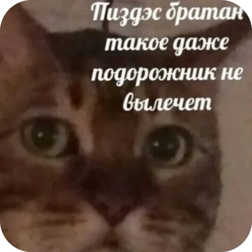 Тот самый случай 4