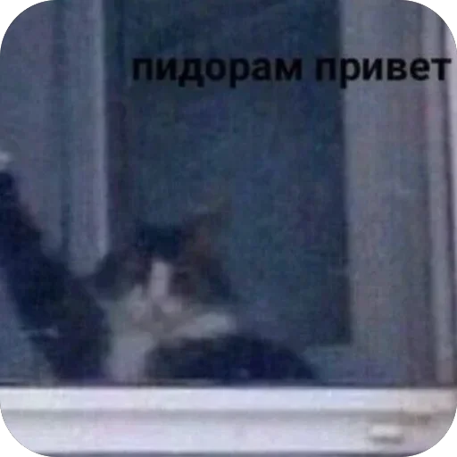 Тот самый случай 5