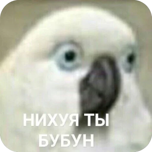 Стикер 10