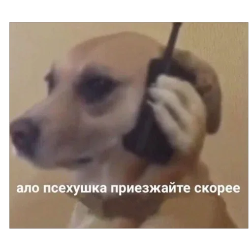 Стикер 14