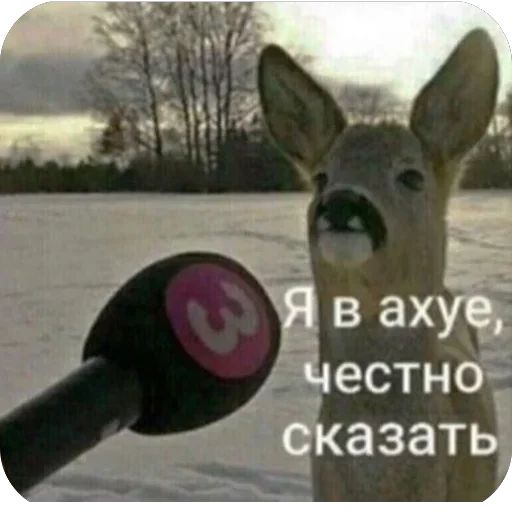 Стикер 15