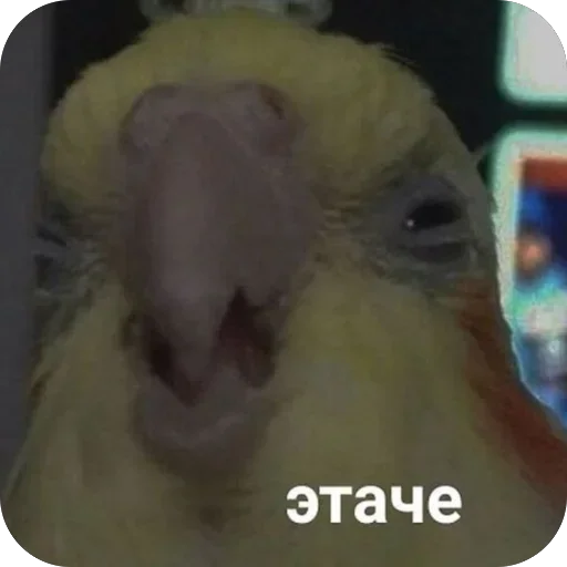 Стикер 16