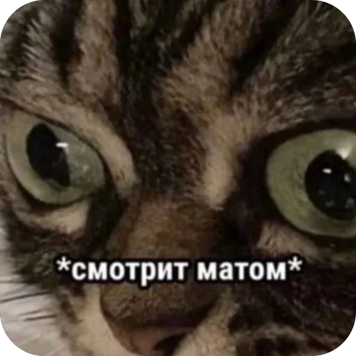 Стикер 18