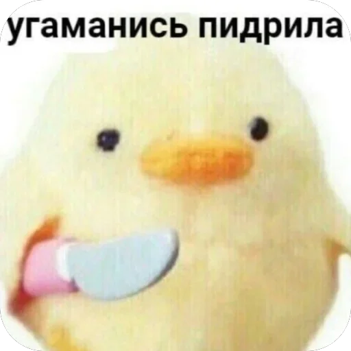 Стикер 19